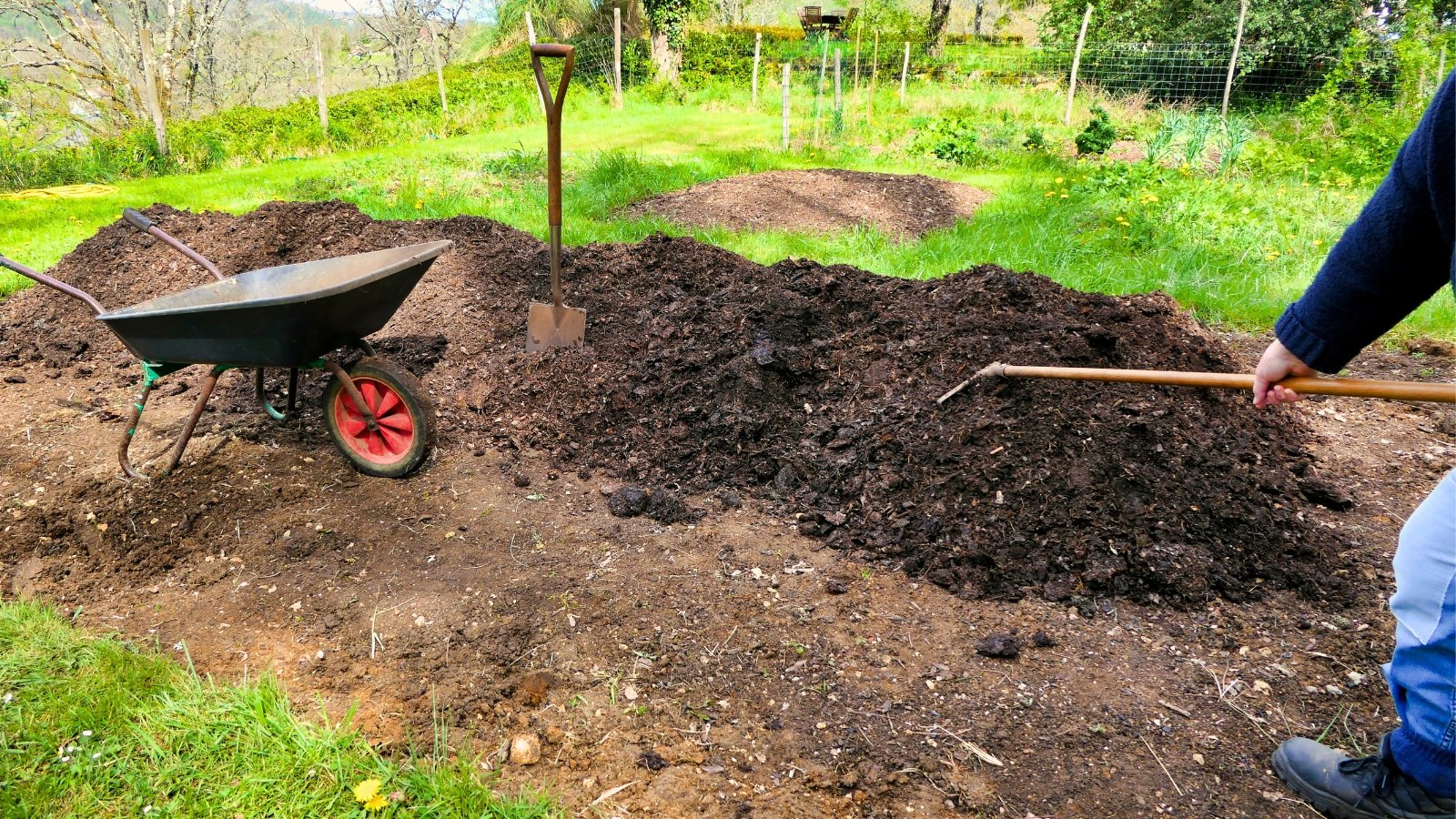 A close-up of a gardener using a rake to spread a pile of compost across a garden bed.