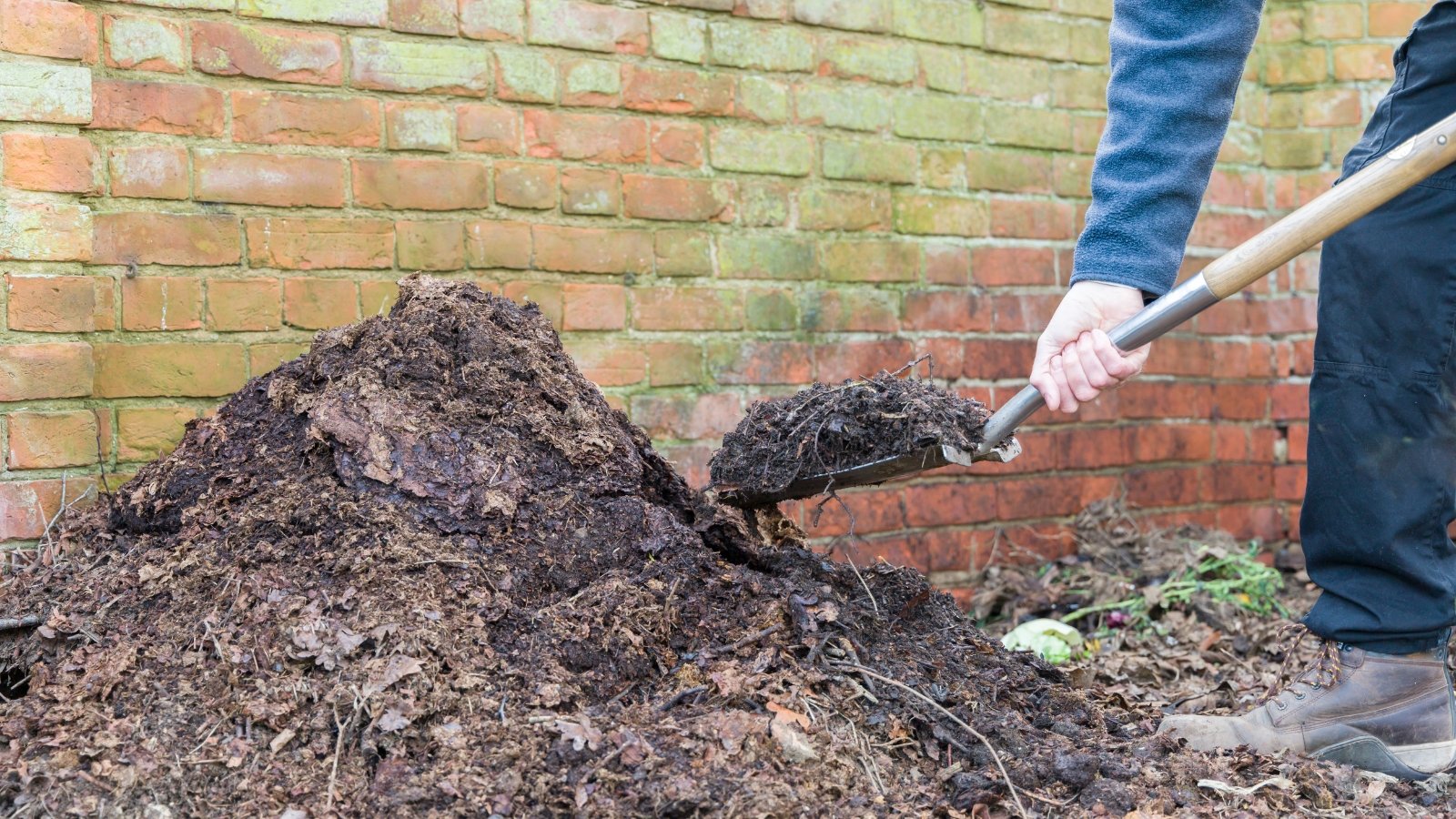 A person shovels dark, rich soil near a brick wall, creating a leaf mold.