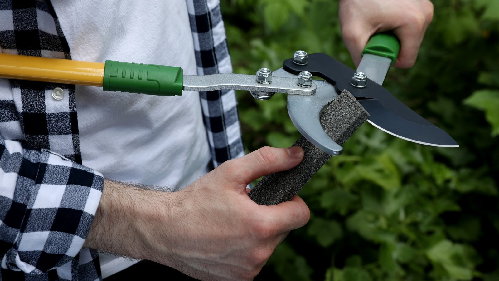 Close-up of hands sharpening pruners with a whetstone outdoors, with a green handle visible.