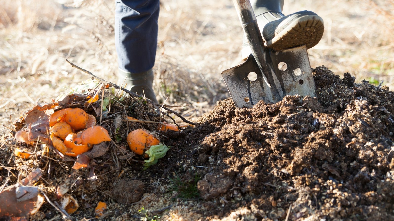 A man shoveling organic matter filled with vegetable peels, surrounded by green plants and garden equipment.