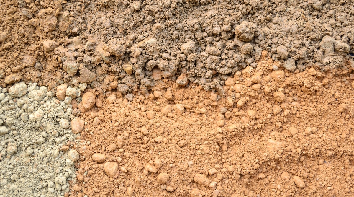 Close-up of natural silt background: brown, gray and red. The silt presents itself as a fine-grained, smooth-textured substrate, with particles that feel soft and compact. The particles are smaller than those in sandy soil, giving it a cohesive quality that retains moisture well.