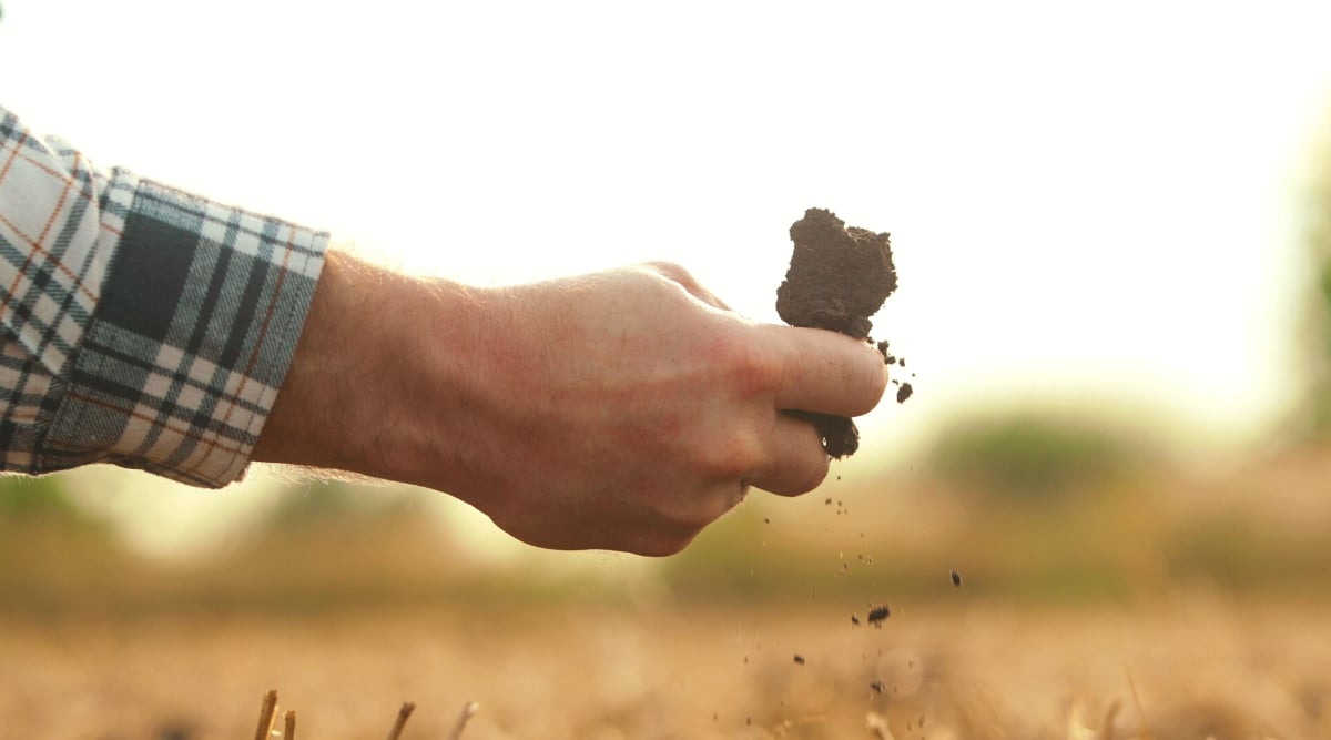 Close-up of a man's hand twisting dirt in his palm against a blurred background. The gardener is wearing a blue and white checkered shirt.