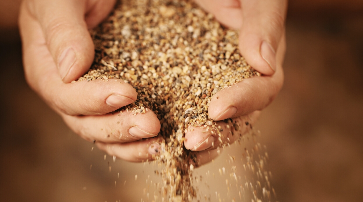 Close-up of hands holding Horticultural sand on blurred brown background. Horticultural sand is a finely textured, granular material that presents as clean, light-colored grains, in shades of beige and pale yellow. It has a consistently smooth and gritty texture.