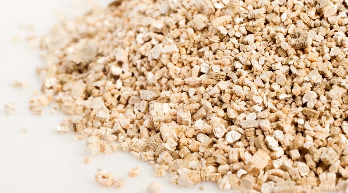 Close-up of a pile of Vermiculite on a white table. Vermiculite is a mineral that appears as small, lightweight, and golden-brown flakes or granules. Its distinctive appearance is characterized by its accordion-like structure and light beige color.