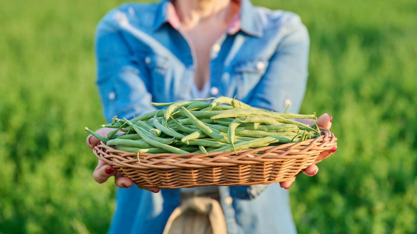 A woman holds a wicker bowl filled with freshly picked, slender green pods against a blurred backdrop of a green lawn.
