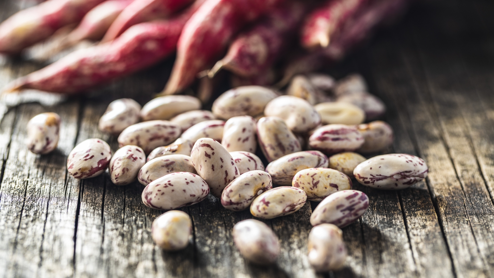 Close-up of a handful of smooth, oval-shaped cream-colored beans with bold red speckles, set against a blurred background of pink-hued pods.