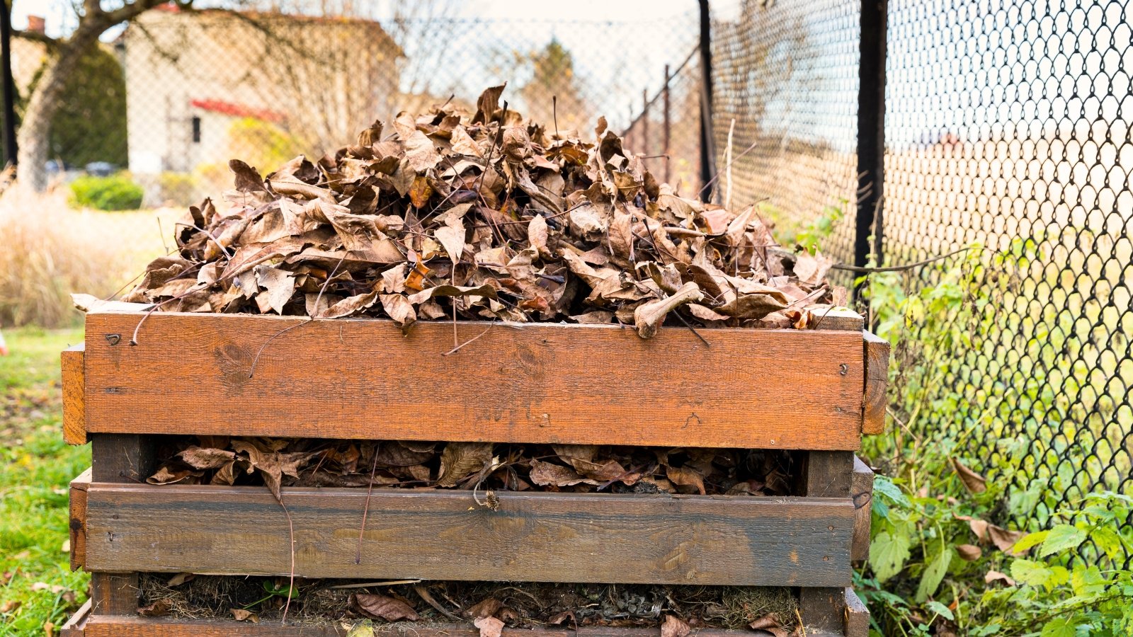 A rustic composter constructed from wooden boards overflows with a rich pile of dry leaves, showcasing a natural, earthy texture in a garden.
