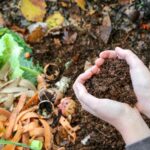 How Sizzling Ought to My Compost Pile Be?