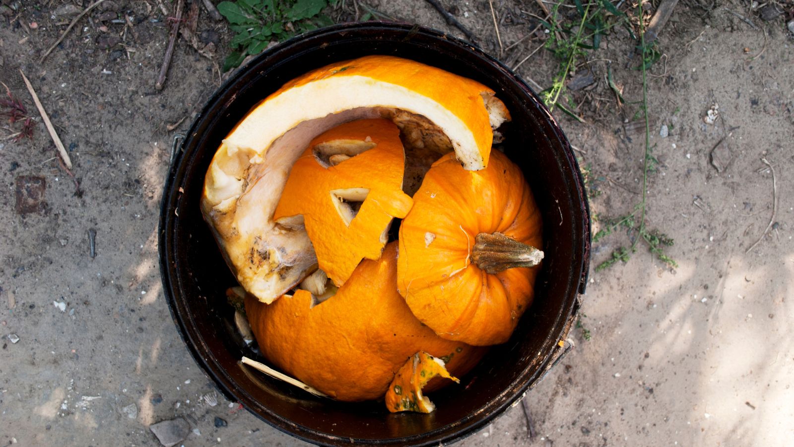 How you can Compost Your Halloween Pumpkins