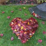 Go away the Leaves in Your Yard With out Creating A Mess: 7 Ideas