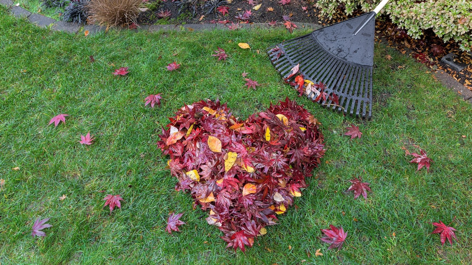 Go away the Leaves in Your Yard With out Creating A Mess: 7 Ideas