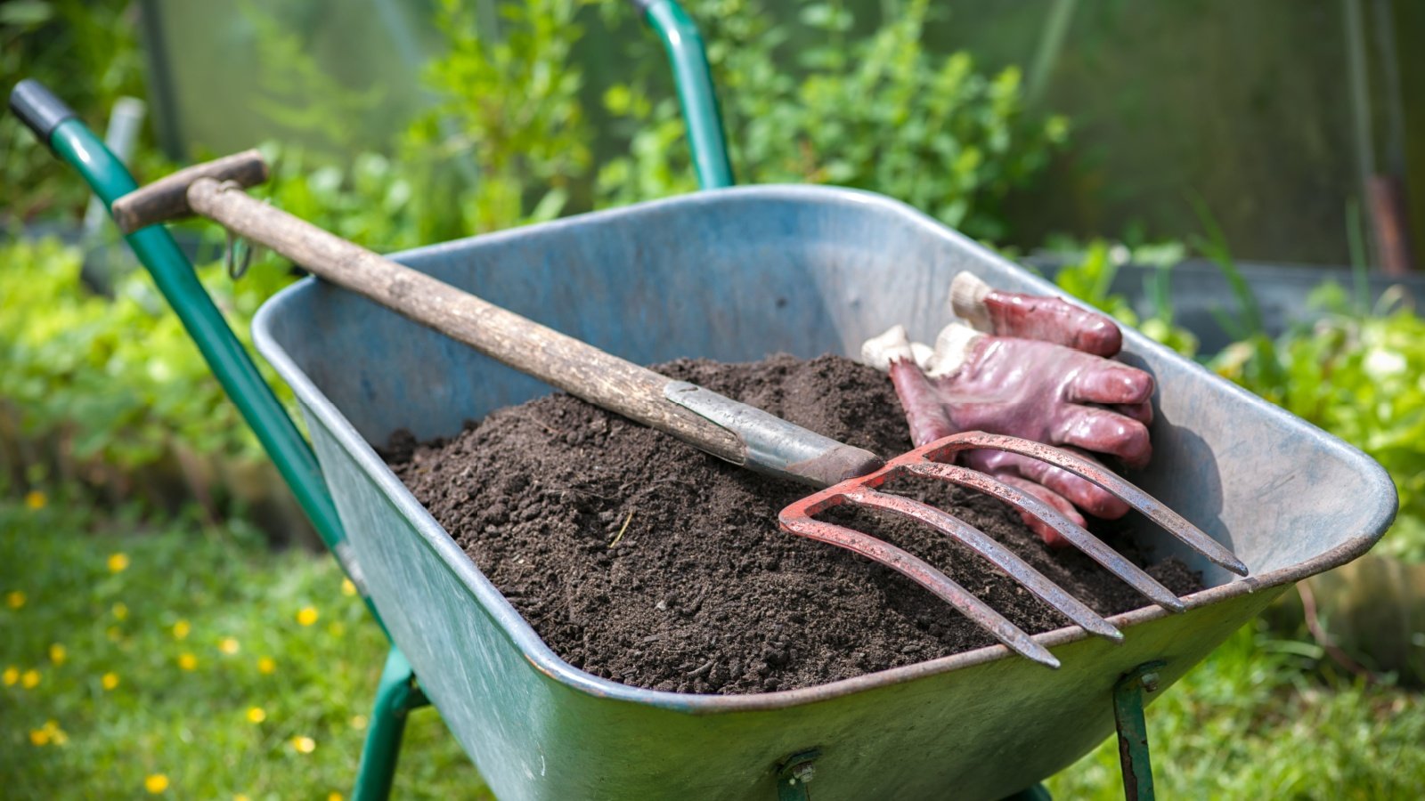 9 Simple Methods to Enhance Your Soil