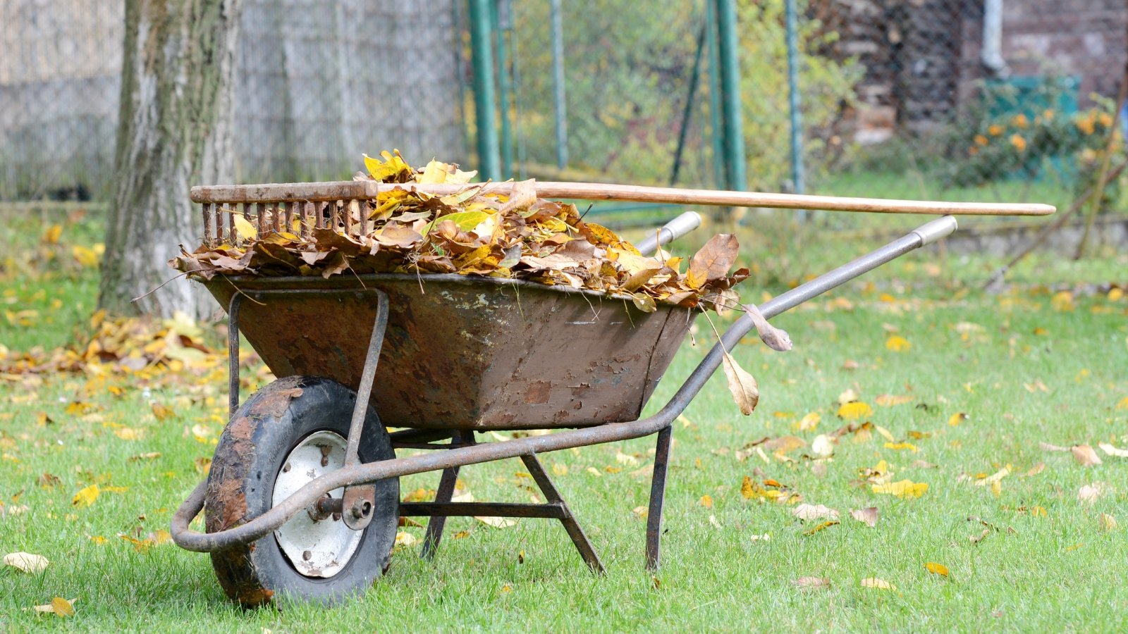 Go away It or Clear It? A Information to Cleansing Up The Fall Backyard