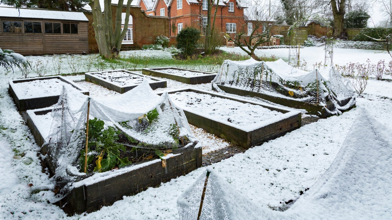 Methods to Put together Raised Beds for Winter